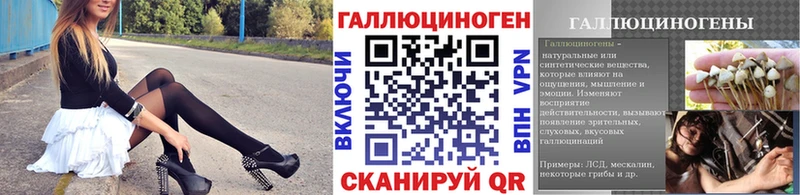 Купить где  Горячеводский  Псилоцибиновые грибы Psilocybe 